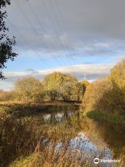 Possil Marsh