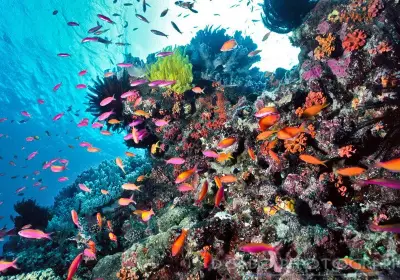 ソロモン諸島個人旅行ガイド（2025年年）：おすすめの