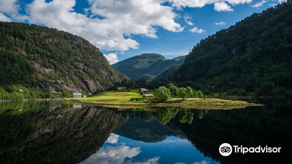 Roedne Fjord Cruise
