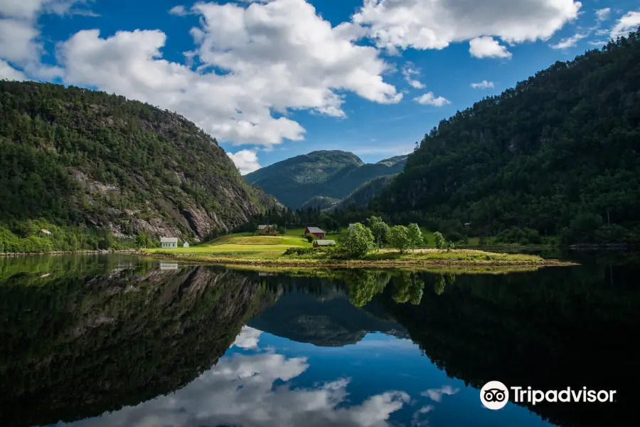 Roedne Fjord Cruise