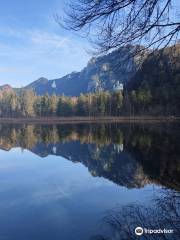 Schwansee