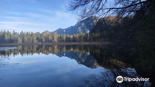 Schwansee