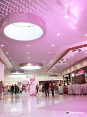 Centro comercial Blagnac