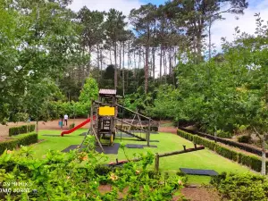 Sao Joao Forest Park