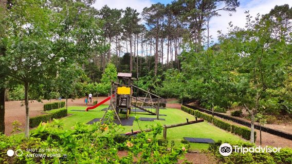 Sao Joao Forest Park