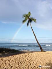 Oahu Surfing Experience