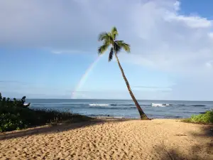 Oahu Surfing Experience