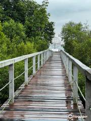 Tanjung Piai National Park