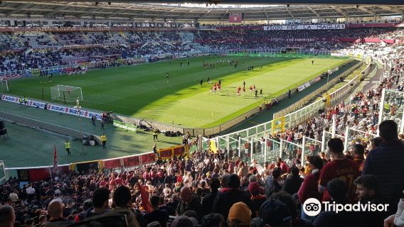 Juventus Museum + Venaria Royal Palace + Torino Olympic Stadium