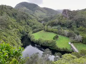 Recreational Forest Reserve "Luís Paulo Camacho"