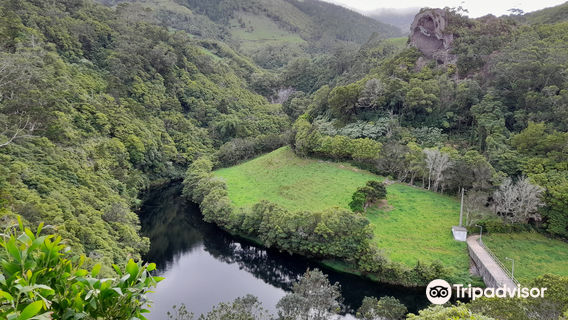 Recreational Forest Reserve "Luís Paulo Camacho"