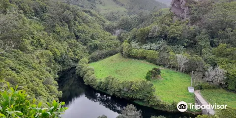 Reserva Florestal de Recreio Luis Paulo Camacho