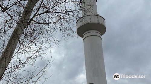 Bakr-babina Mosque