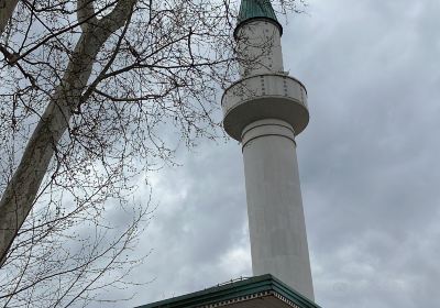 Bakr-babina džamija