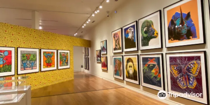 Cleve Carney Museum of Art