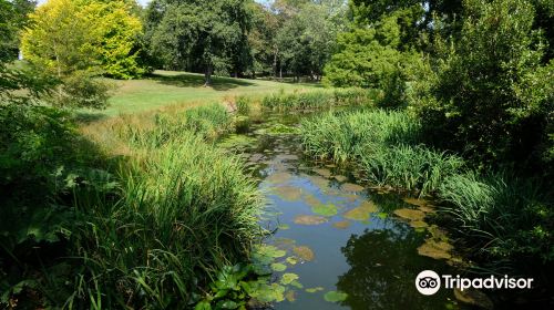 Timaru Botanic Gardens