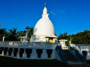 Dambakola Patuna Sangamitta Temple,சங்கமித்தை விகாரை | (දඹකොළ පටුන බෞද්ධ විහාරය )