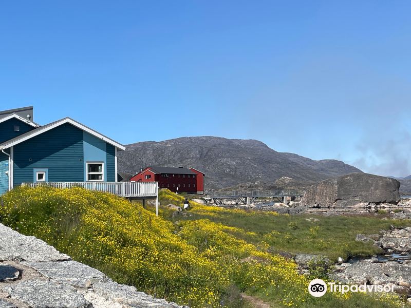 Narsaq to Qaqortoq Flights