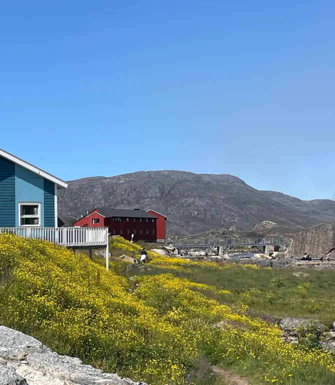 Qaqortoq