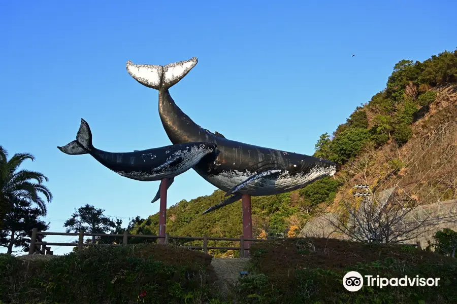 Taijikujirahama Park