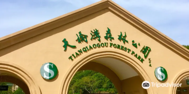 丹東天橋溝景區