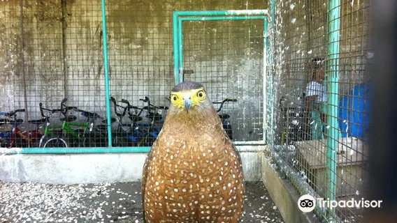 Albay Park and Wildlife