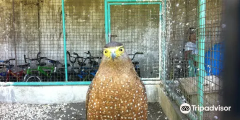 Albay Park and Wildlife