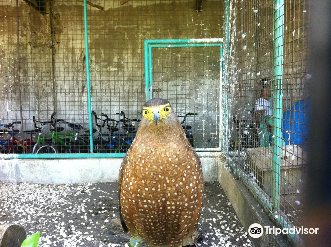 1_Albay Park & Wildlife