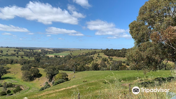 McLaren Vale