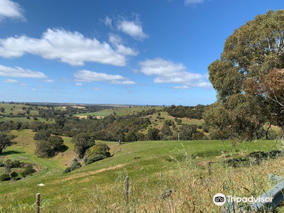 McLaren Vale Cabin Caravan Park