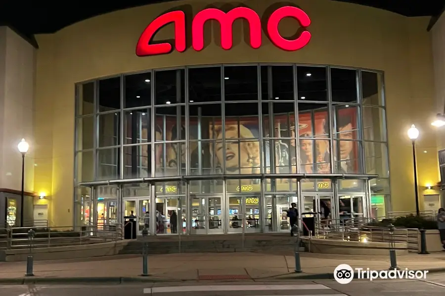 AMC Rosedale 14