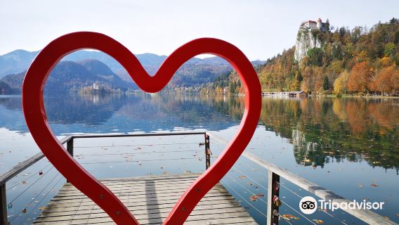 The Heart of Bled