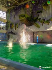 Dolphinarium Lazarev