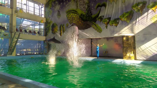 Dolphinarium Lazarev