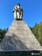 The Jan Zizka Monument from Trocnov