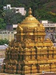 SRI VENKATESWARA SWAMY VAARI TEMPLE