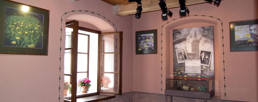Sigmund Freud's Birth House