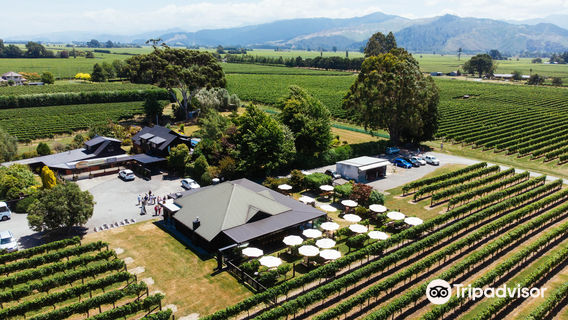 Saint Clair Family Estate Vineyard Kitchen