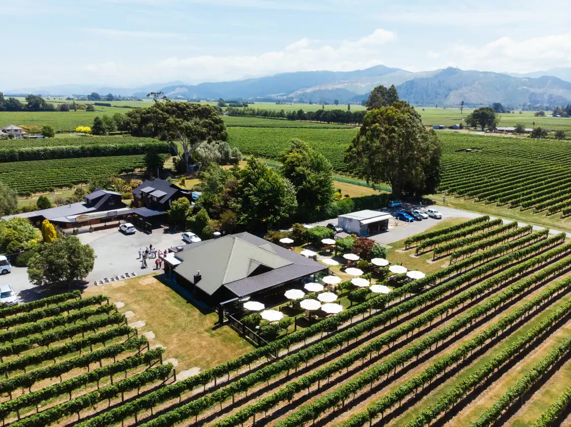 Hotels near Saint Clair Family Estate Vineyard Kitchen
