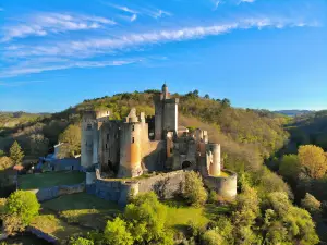 Castle de Bonaguil