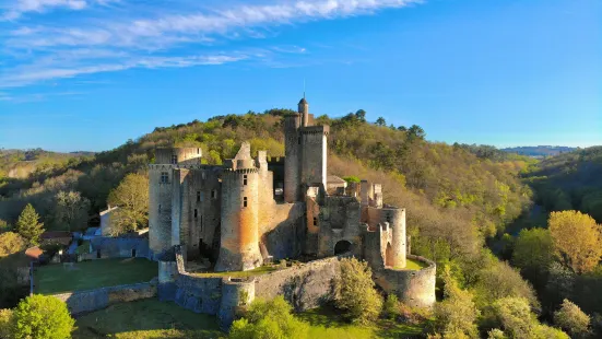 Castle de Bonaguil