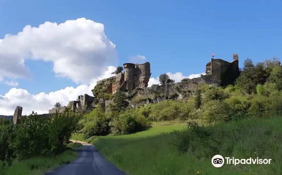 Château de Peyrelade