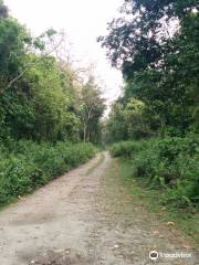 Gorumara Forest Bungalow