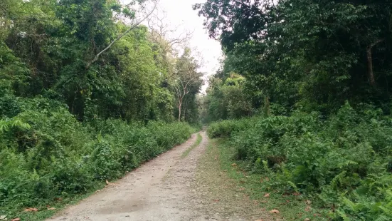 Gorumara Forest Bungalow