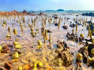 Koh Tonsay (Rabbit Island)