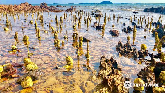 Koh Tonsay (Rabbit Island)