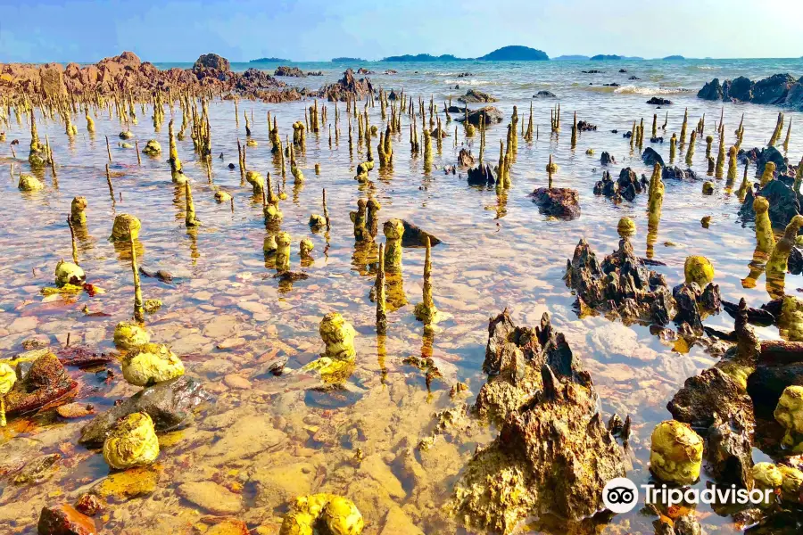 Koh Tonsay (Rabbit Island)