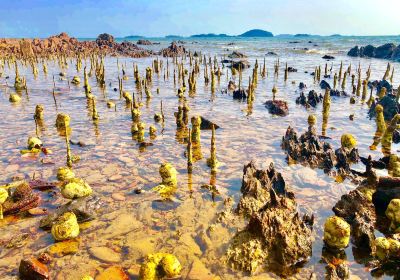 Koh Tonsay (Rabbit Island)