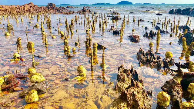 Hotels near Koh Tonsay (Rabbit Island)