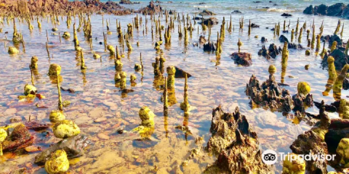 Koh Tonsay （Rabbit Island）